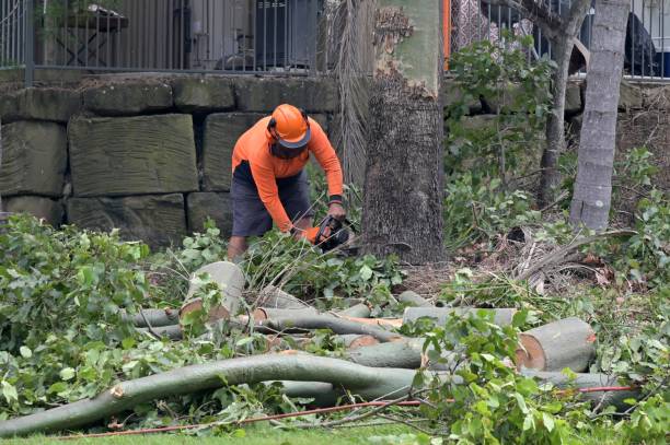 Best Commercial Tree Services  in Waxhaw, NC